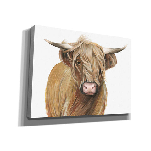 Image of 'Highland Cattle I' by Grace Popp, Canvas Wall Art