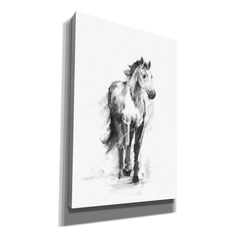 Image of 'Dynamic Equestrian II' by Ethan Harper, Canvas Wall Art