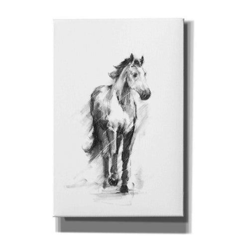 Image of 'Dynamic Equestrian II' by Ethan Harper, Canvas Wall Art