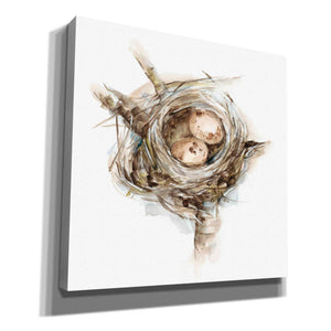 'Bird Nest Study I' by Ethan Harper, Canvas Wall Art