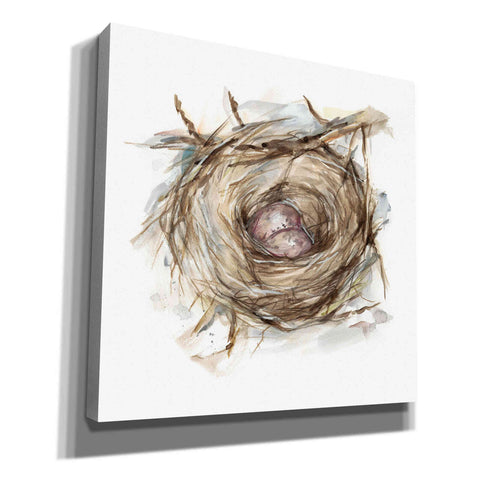 Image of 'Bird Nest Study IV' by Ethan Harper, Canvas Wall Art