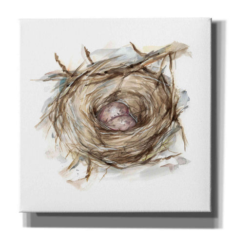 Image of 'Bird Nest Study IV' by Ethan Harper, Canvas Wall Art