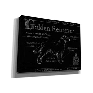 'Blueprint Golden Retriever' by Ethan Harper, Canvas Wall Art