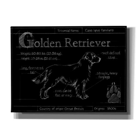 Image of 'Blueprint Golden Retriever' by Ethan Harper, Canvas Wall Art