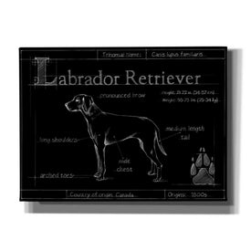 'Blueprint Labrador Retriever' by Ethan Harper, Canvas Wall Art