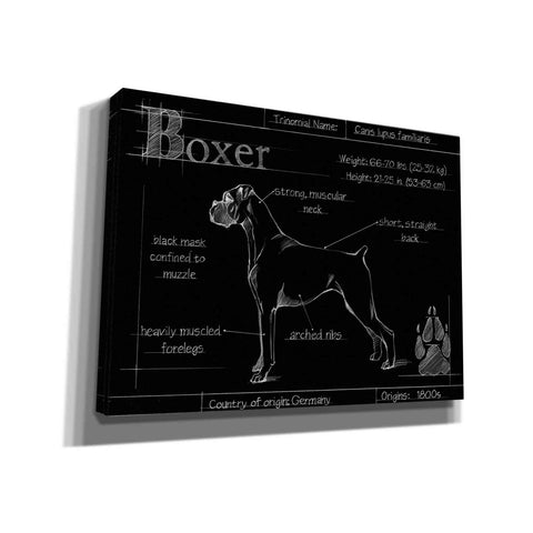 Image of 'Blueprint Boxer' by Ethan Harper, Canvas Wall Art