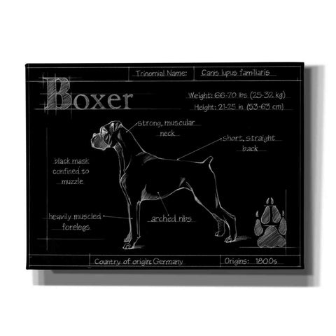 Image of 'Blueprint Boxer' by Ethan Harper, Canvas Wall Art