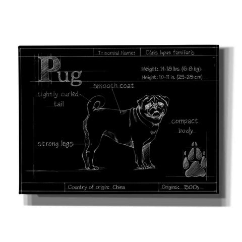 Image of 'Blueprint Pug' by Ethan Harper, Canvas Wall Art