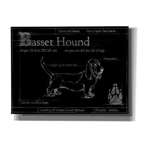 Image of 'Blueprint Bassett Hound' by Ethan Harper, Canvas Wall Art