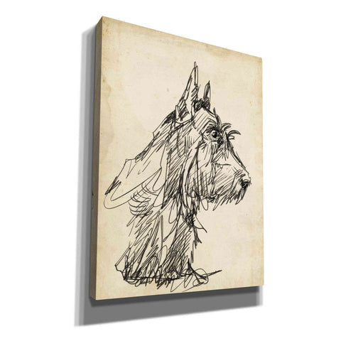 Image of 'Breed Studies I' by Ethan Harper, Canvas Wall Art