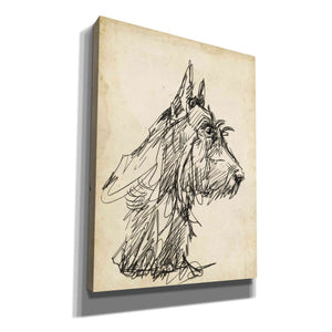 'Breed Studies I' by Ethan Harper, Canvas Wall Art