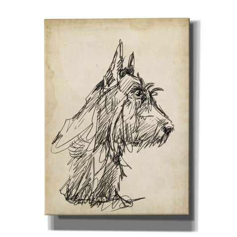 Image of 'Breed Studies I' by Ethan Harper, Canvas Wall Art