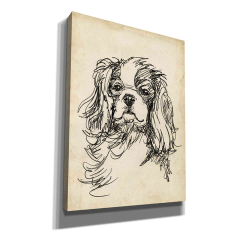 Image of 'Breed Studies II' by Ethan Harper, Canvas Wall Art