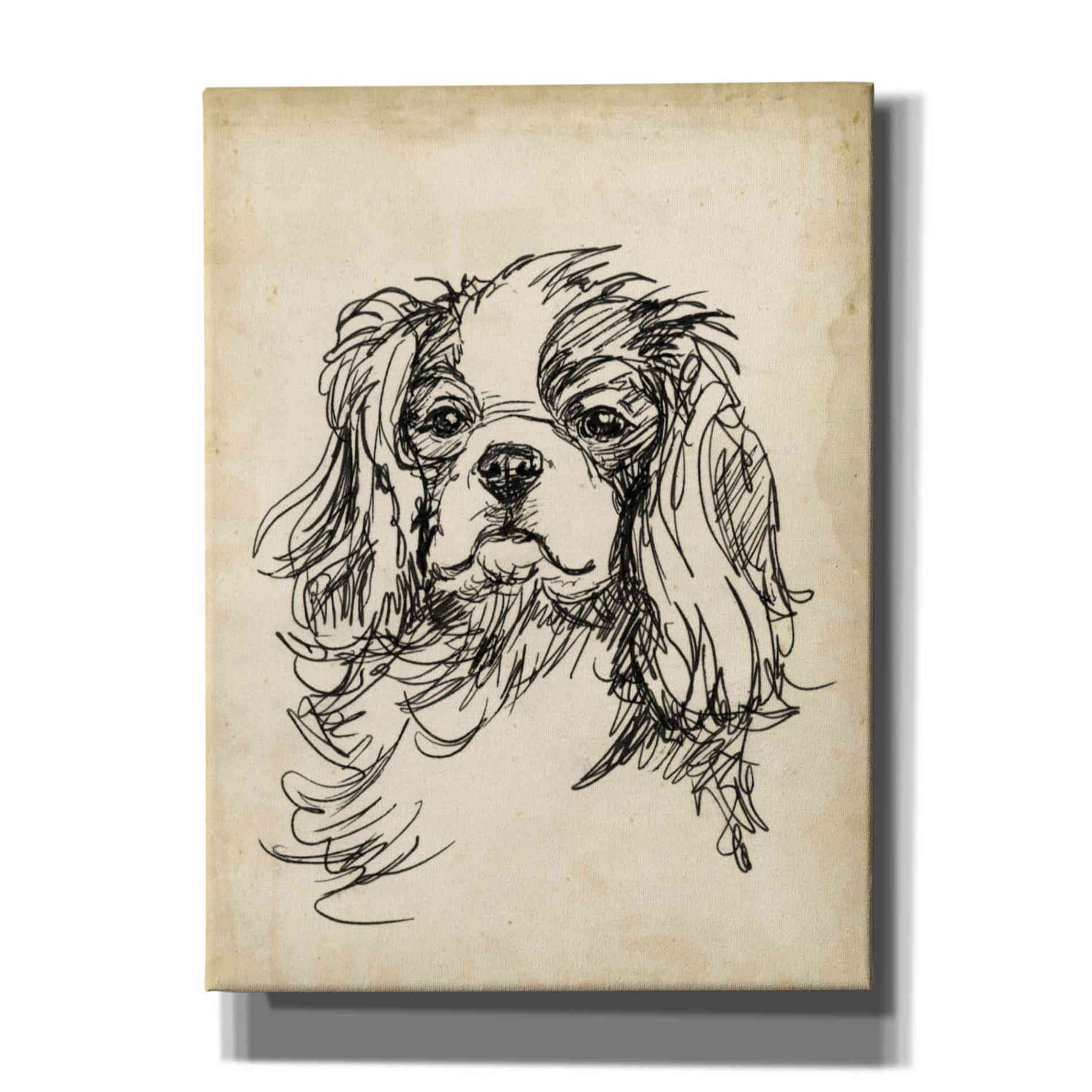 'Breed Studies II' by Ethan Harper, Canvas Wall Art