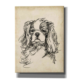 'Breed Studies II' by Ethan Harper, Canvas Wall Art