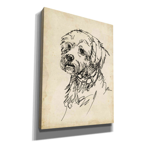Image of 'Breed Studies III' by Ethan Harper, Canvas Wall Art