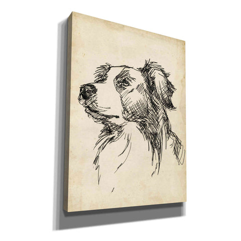 Image of 'Breed Studies IX' by Ethan Harper, Canvas Wall Art