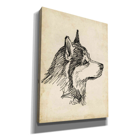 Image of 'Breed Studies X' by Ethan Harper, Canvas Wall Art