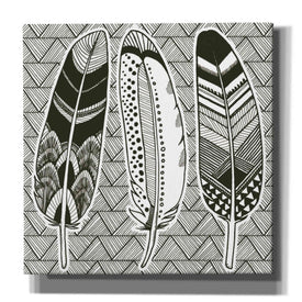 'Geo Feathers I Zentangle' by Sara Zieve Miller, Canvas Wall Art
