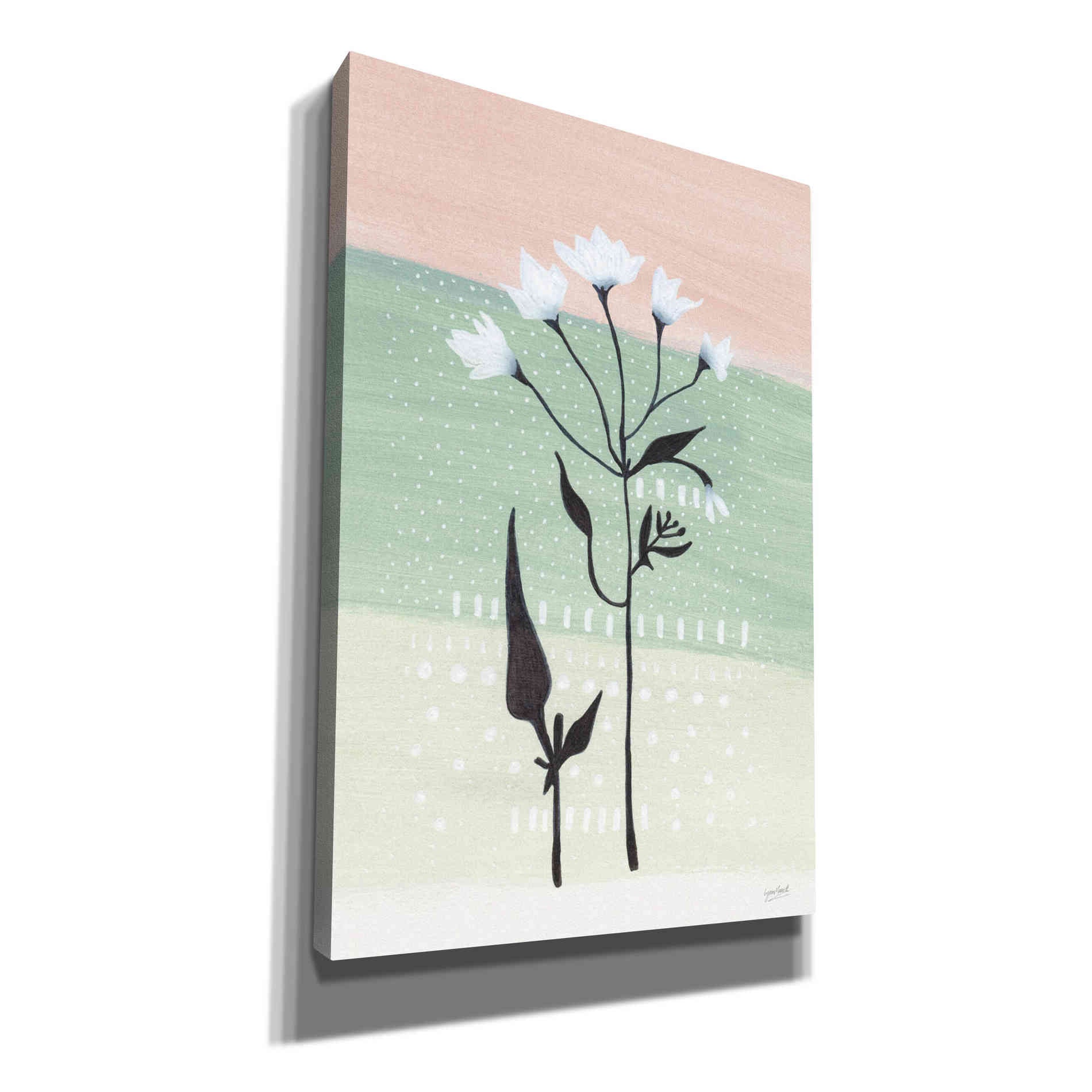 'Jasmine Delight I' by Lynn Mack, Canvas Wall Art