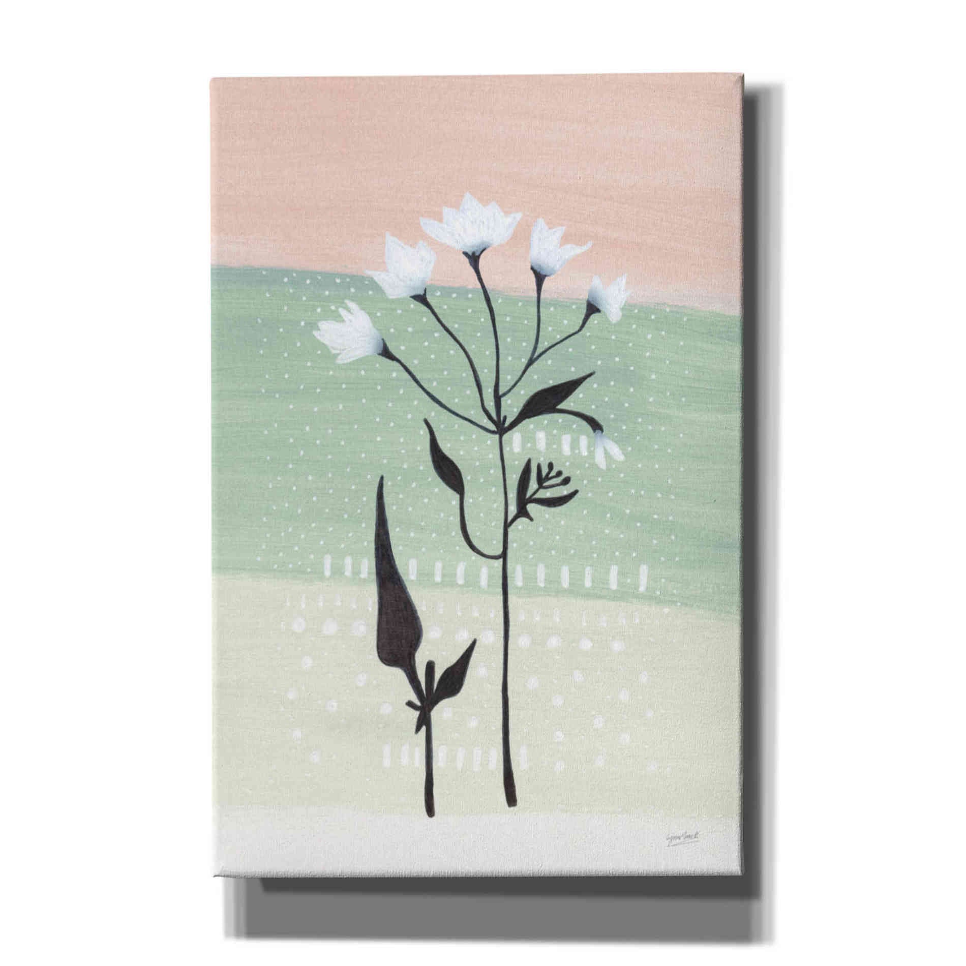 'Jasmine Delight I' by Lynn Mack, Canvas Wall Art