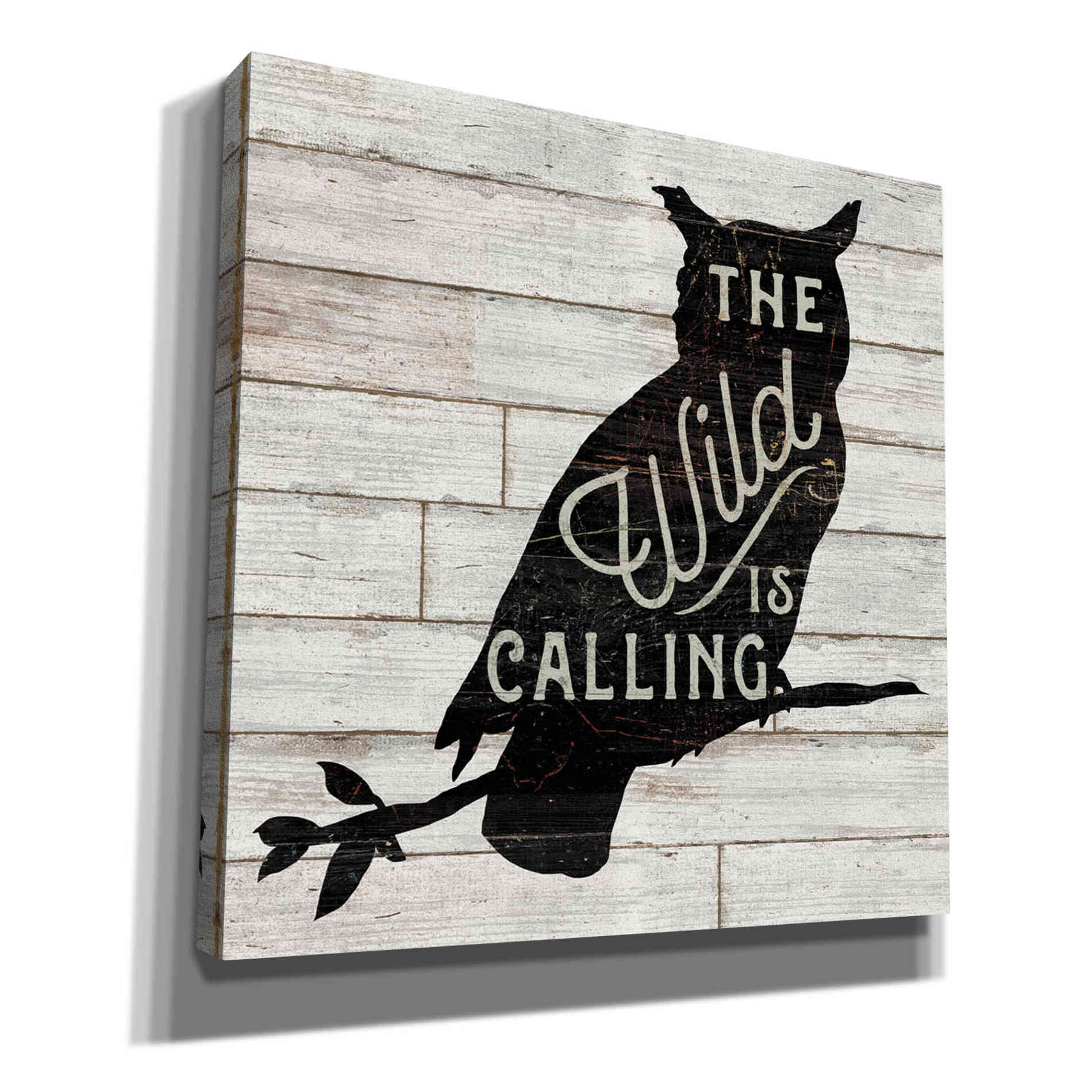 'Lake Lodge III' by Sue Schlabach, Canvas Wall Art