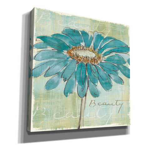 Image of 'Spa Daisies I' by Chris Paschke, Canvas Wall Art