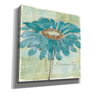 'Spa Daisies I' by Chris Paschke, Canvas Wall Art
