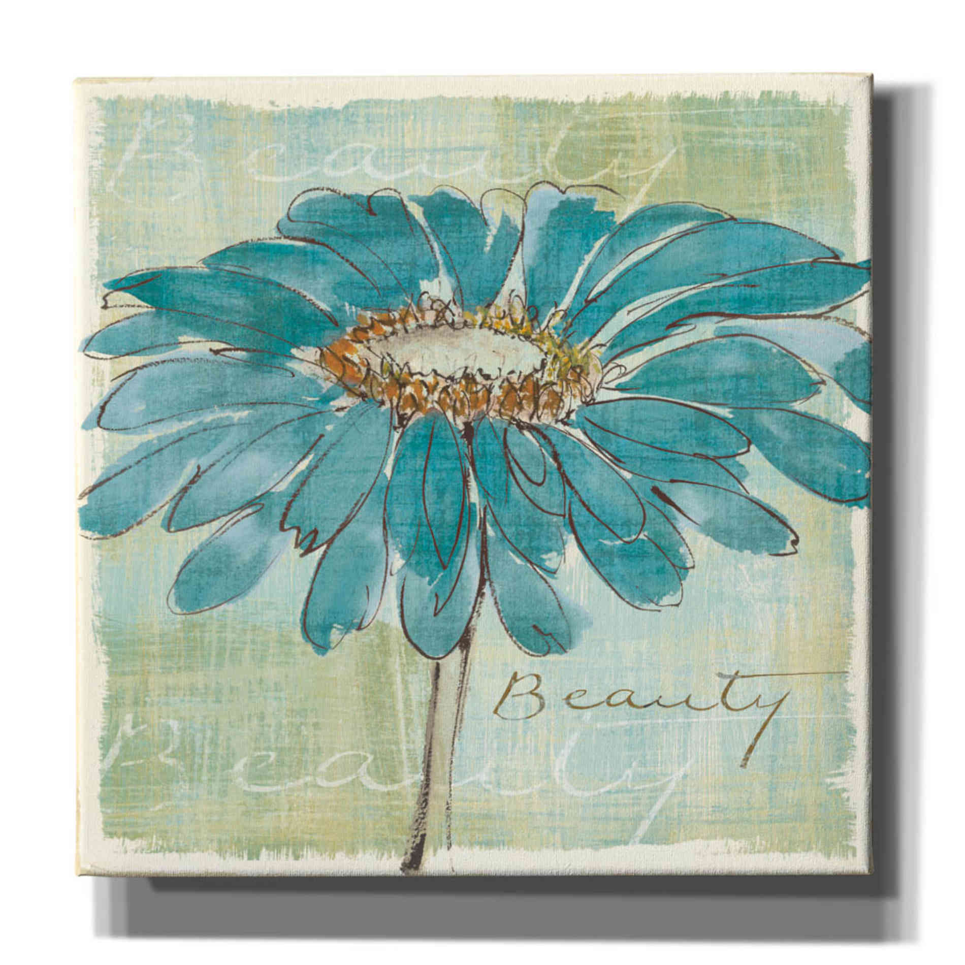 'Spa Daisies I' by Chris Paschke, Canvas Wall Art
