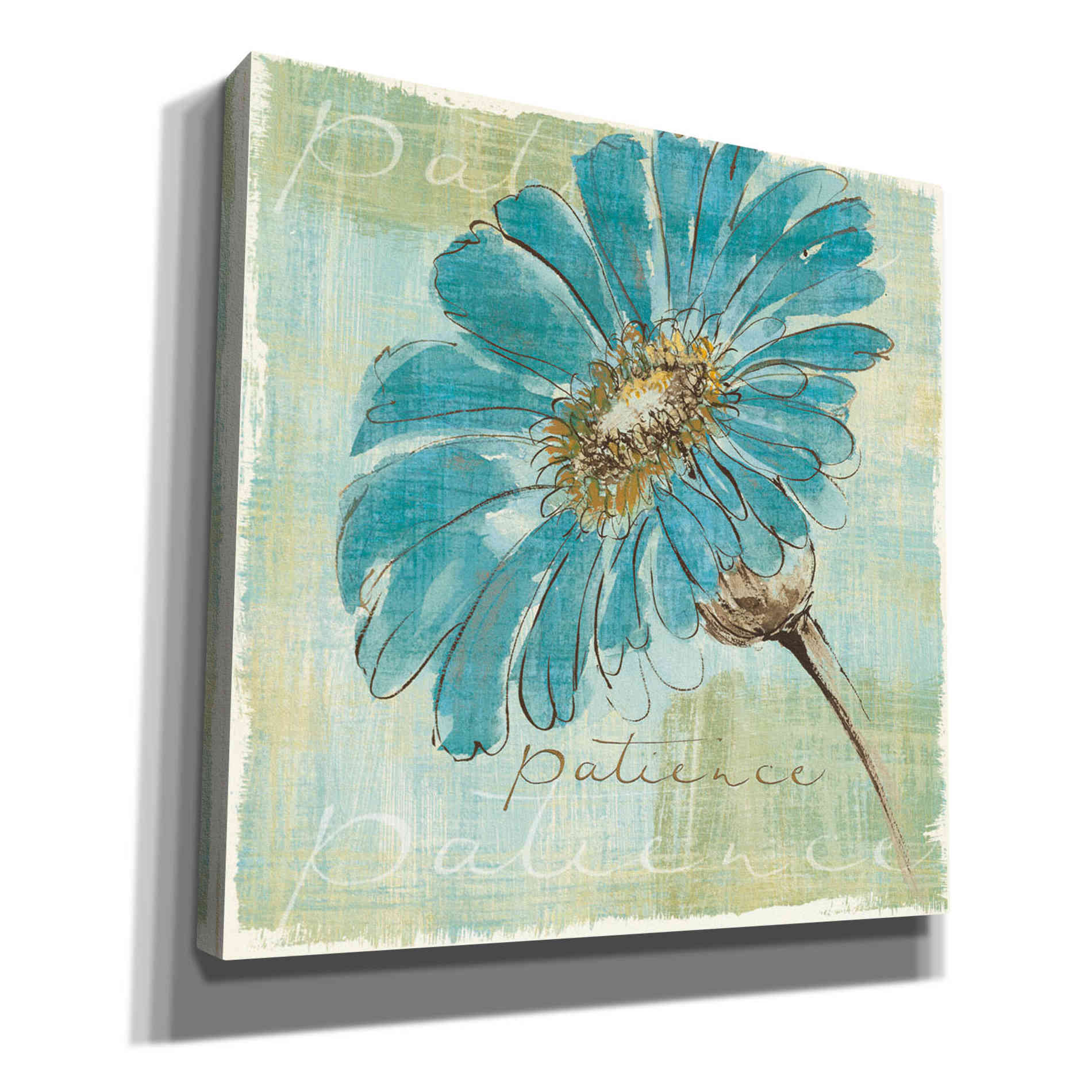 'Spa Daisies II' by Chris Paschke, Canvas Wall Art