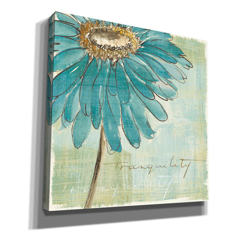 Image of 'Spa Daisies III' by Chris Paschke, Canvas Wall Art