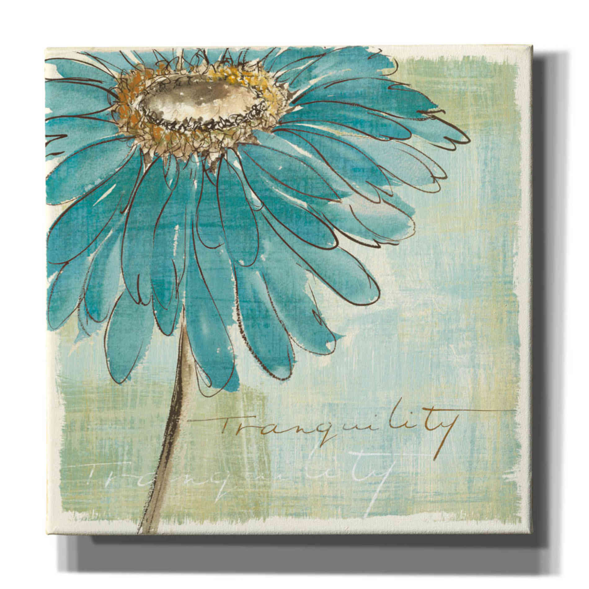 'Spa Daisies III' by Chris Paschke, Canvas Wall Art