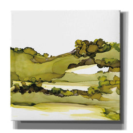 'Greenscape I' by Chris Paschke, Canvas Wall Art