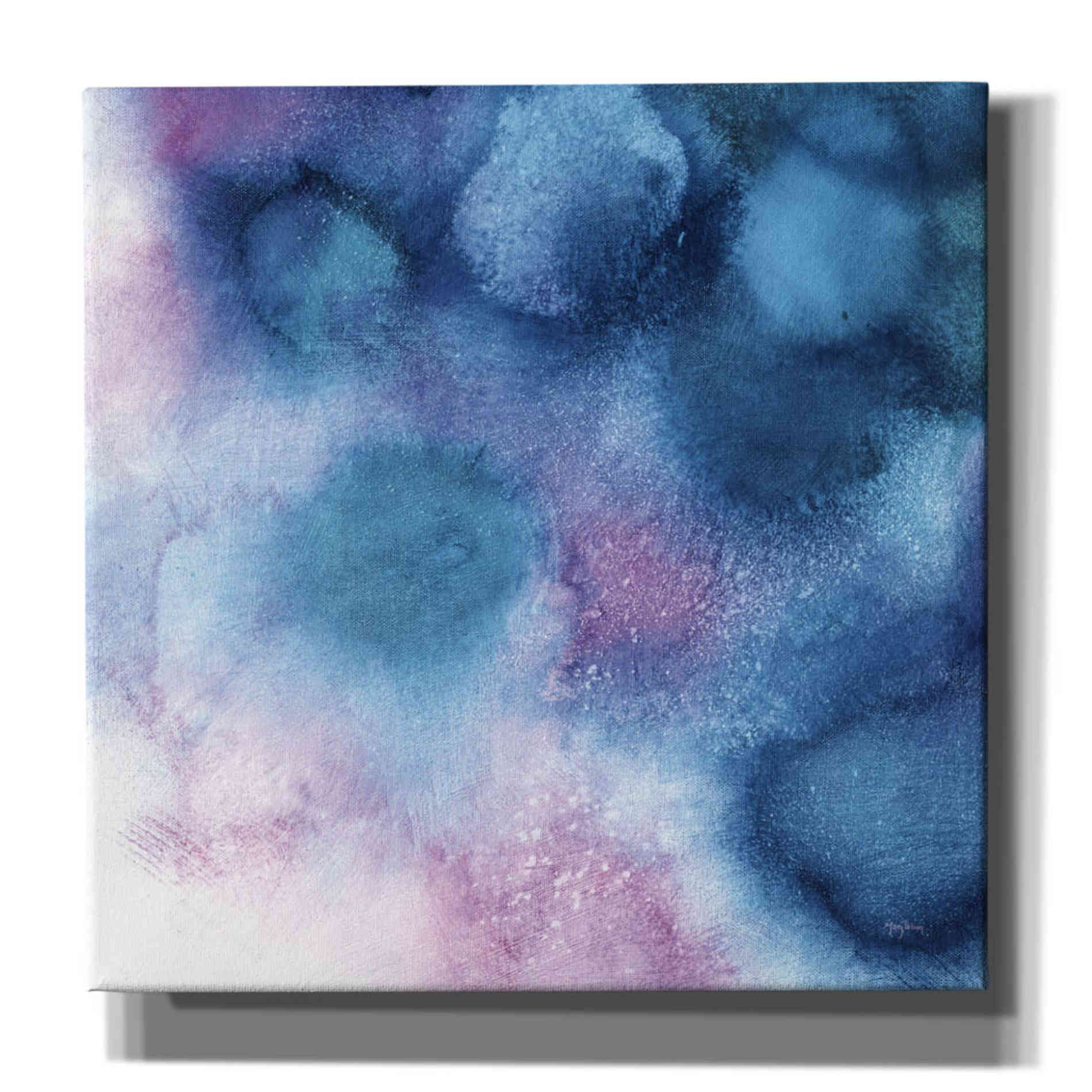 'Nebula II ' by Mary Urban, Canvas Wall Art