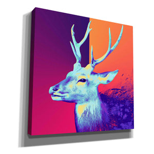 'A Deer', Canvas Wall Art