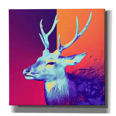 Image of 'A Deer', Canvas Wall Art