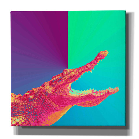 Image of 'Alligator Crush,' Canvas Wall Art