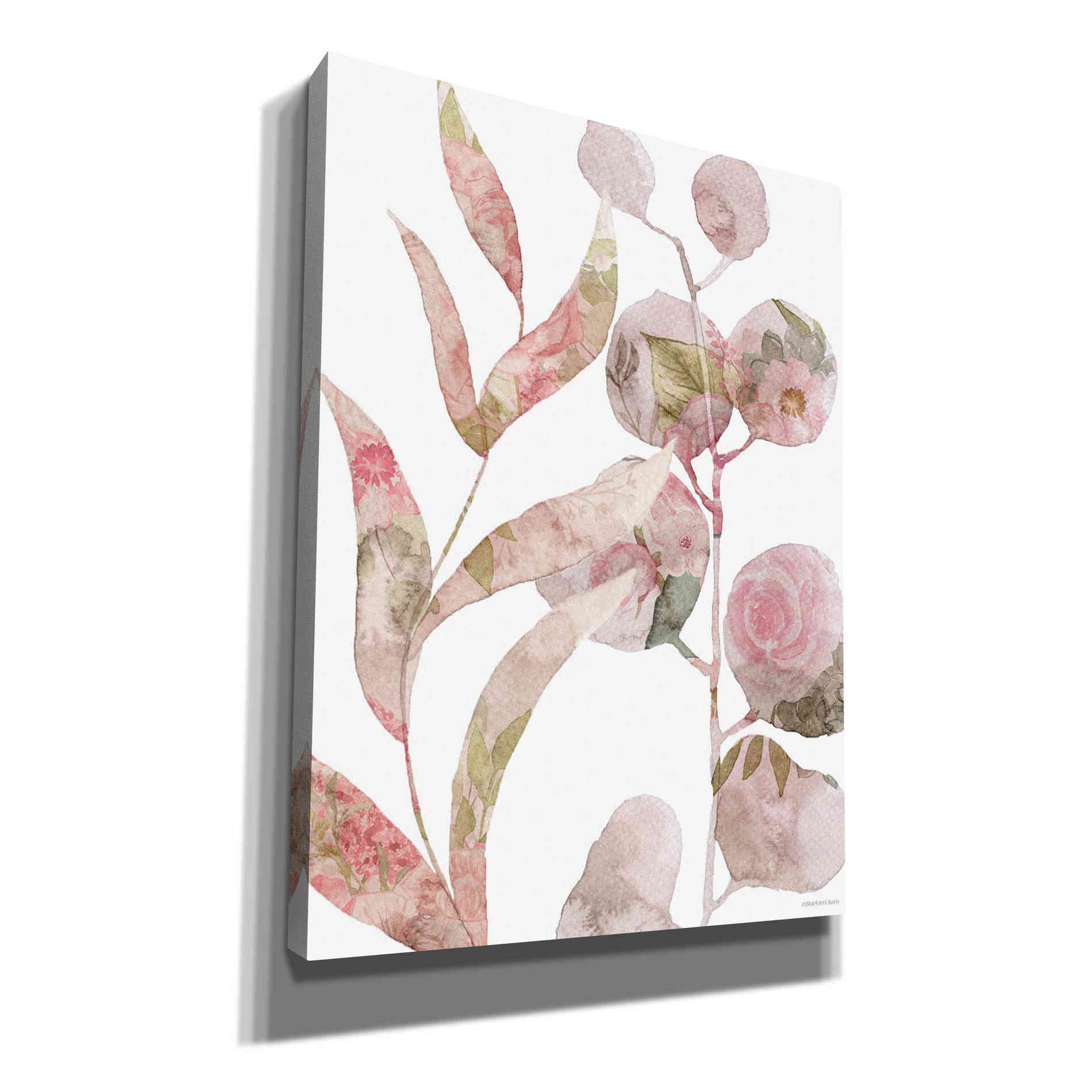 'Meadow Flora Botanical II' by Bluebird Barn, Canvas Wall Art