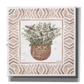 'Terracotta Pot II' by Cindy Jacobs, Canvas Wall Art