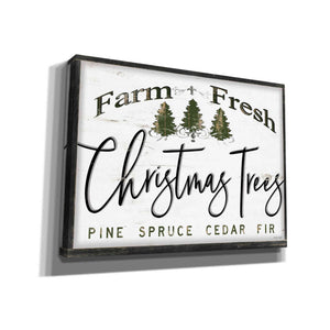 'Farm Fresh Christmas Trees II' by Cindy Jacobs, Canvas Wall Art