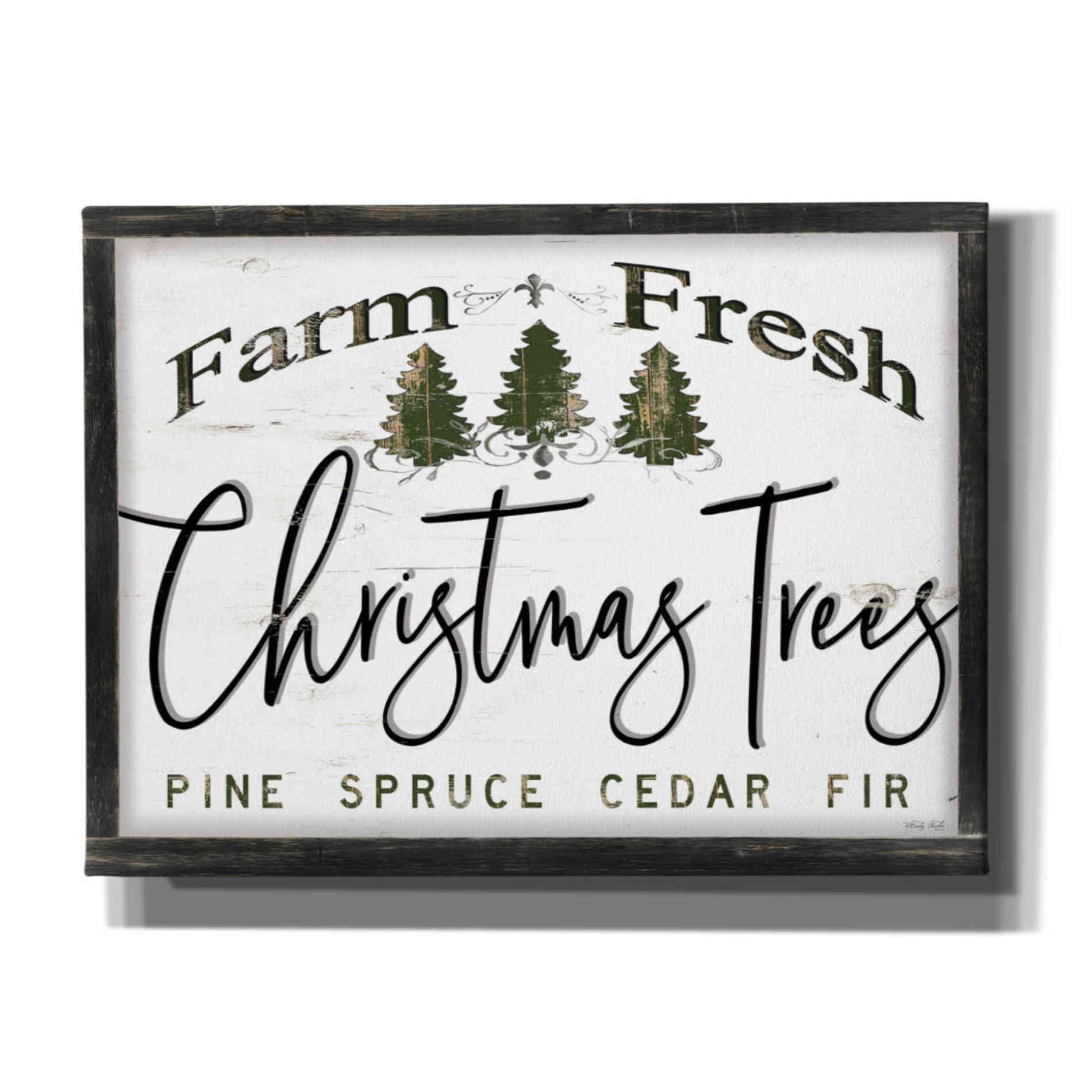 'Farm Fresh Christmas Trees II' by Cindy Jacobs, Canvas Wall Art