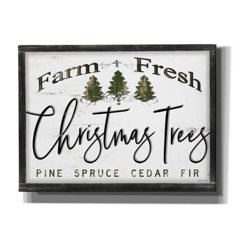 Image of 'Farm Fresh Christmas Trees II' by Cindy Jacobs, Canvas Wall Art