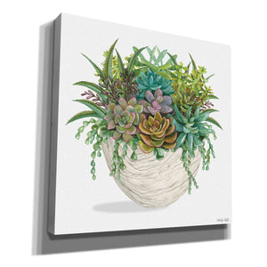 'White Wood Succulent II' by Cindy Jacobs, Canvas Wall Art