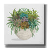 'White Wood Succulent II' by Cindy Jacobs, Canvas Wall Art