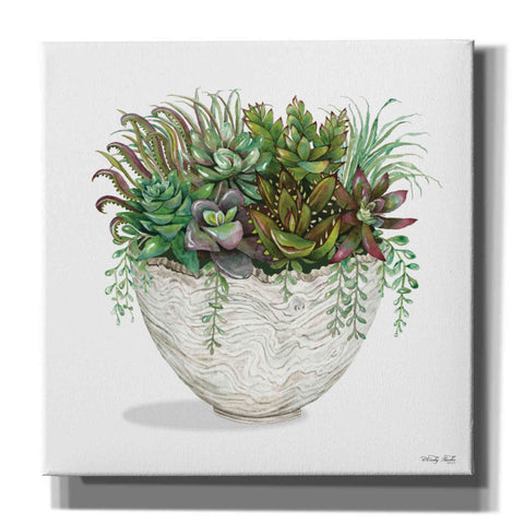 Image of 'White Wood Succulent III' by Cindy Jacobs, Canvas Wall Art