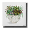 'White Wood Succulent III' by Cindy Jacobs, Canvas Wall Art