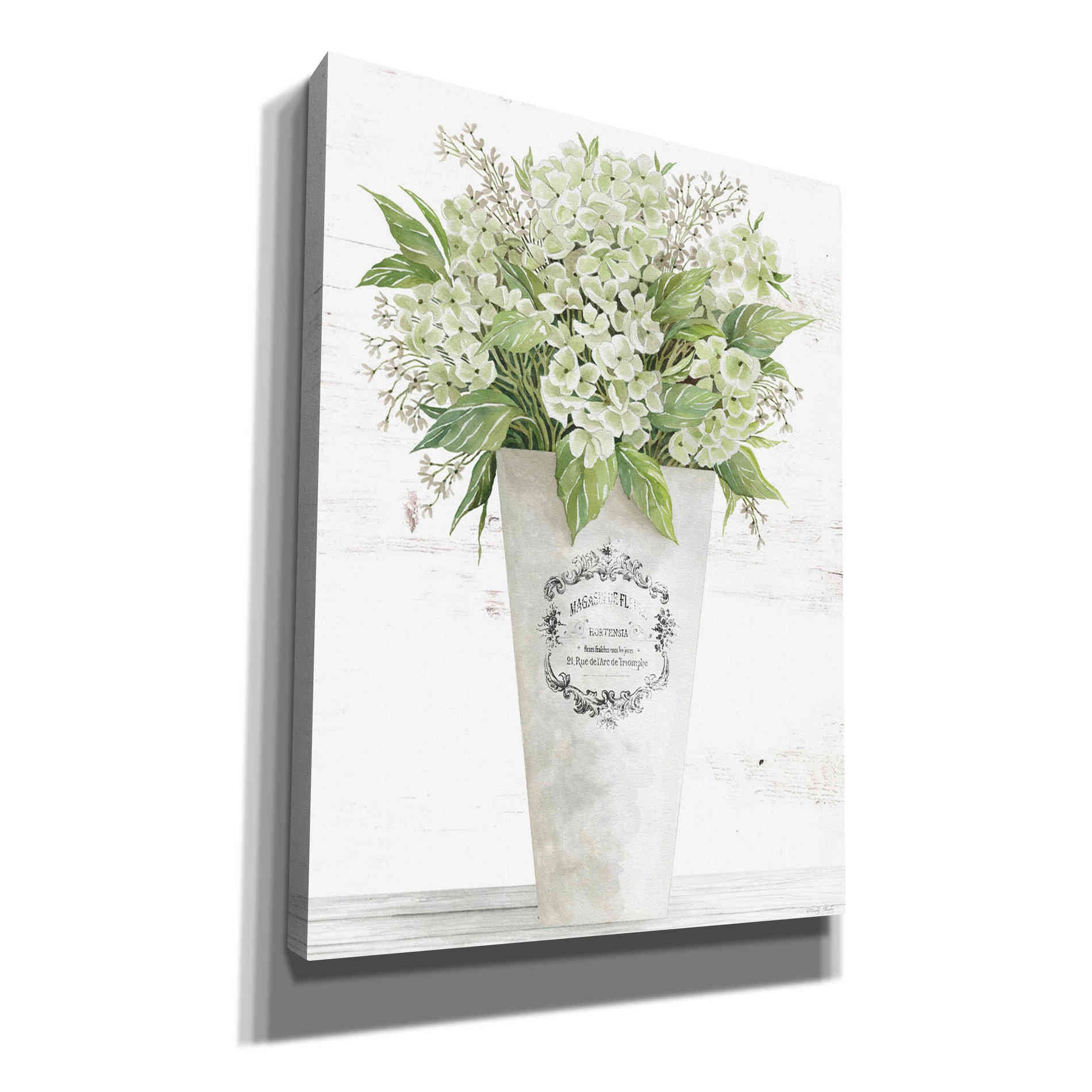'Les Fleurs Hortensia' by Cindy Jacobs, Canvas Wall Art