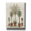 'Potted Tree Collection' by Cindy Jacobs, Canvas Wall Art