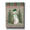 'Merry Little Christmas Snowman' by Cindy Jacobs, Canvas Wall Art