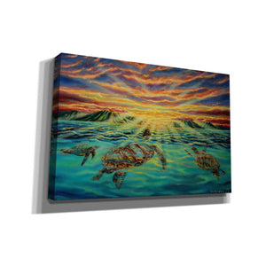 'Turtle Sunset' by Jan Kasparec, Canvas Wall Art